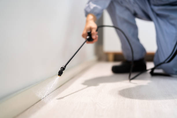 Licensed Pest Control service in Palos Verdes Estates, CA - Show Me Pest Control