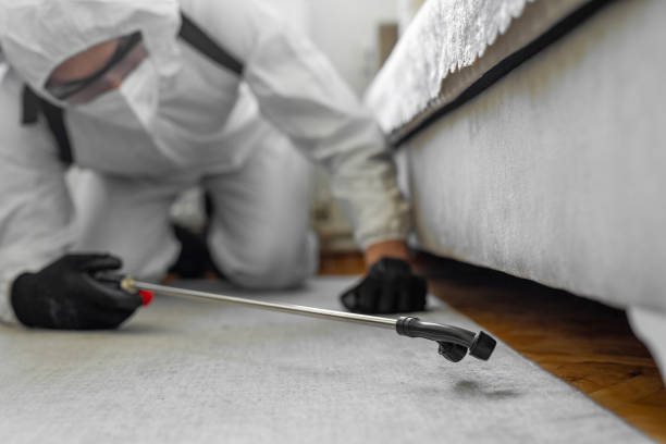 Professional Ant Control technician working in Palos Verdes Estates, CA